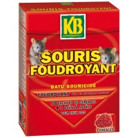 Souris foudroyant KB