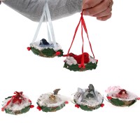 Coffret oiseaux du monde